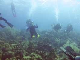 Divers IMG 7120